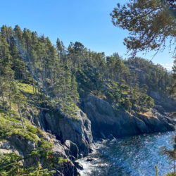 Coast Trail, East Sooke